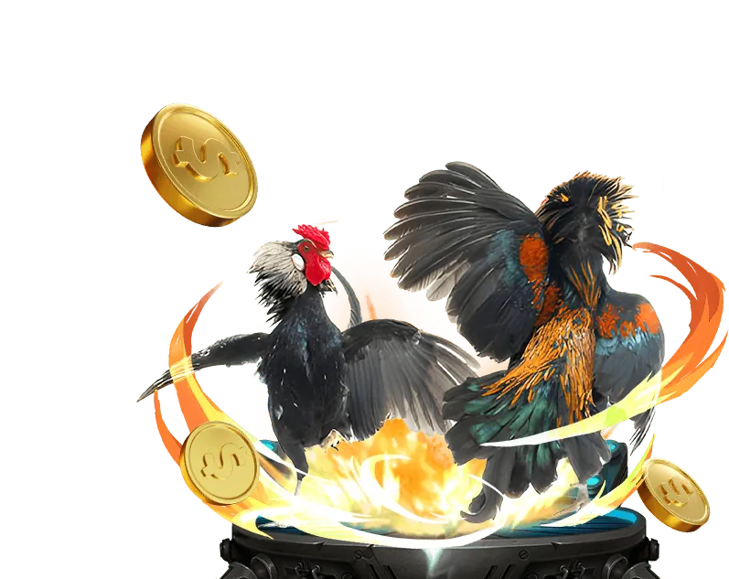 Biểu tượng hoàn trả tiền cược hàng tuần cho các trận đấu đá gà và cá cược thể thao.